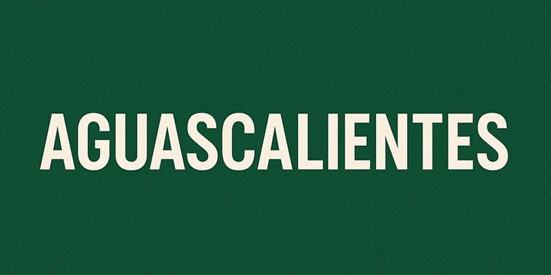 claves lada de Aguascalientes
